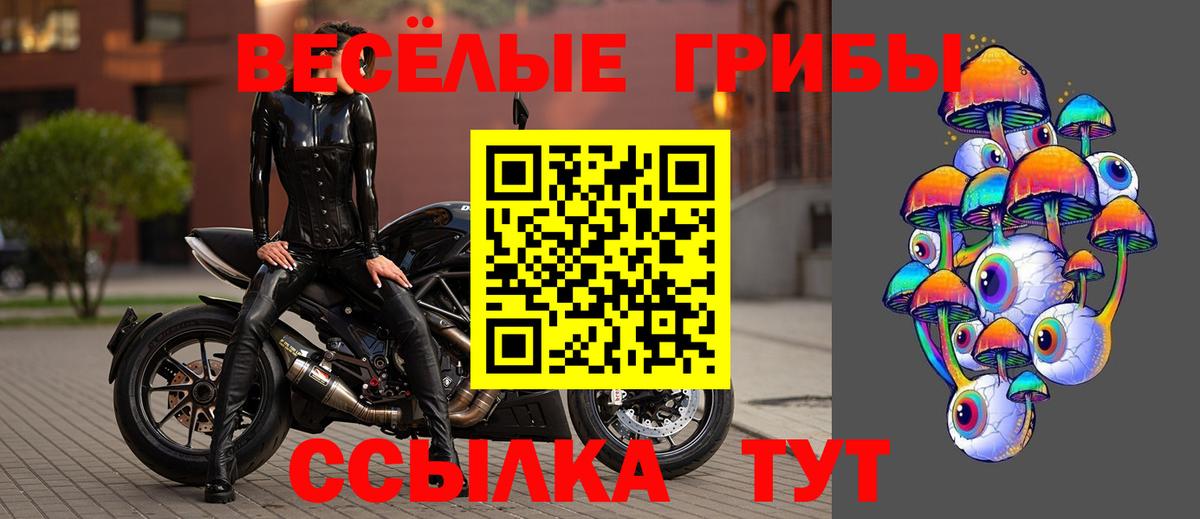 Омск  Галлюциногенные грибы прущие грибы  Псилоцибиновые грибы мухоморы  Вход с VPN 
